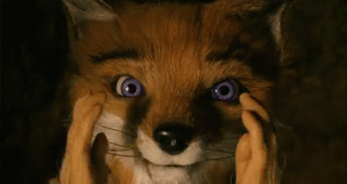 stereofox